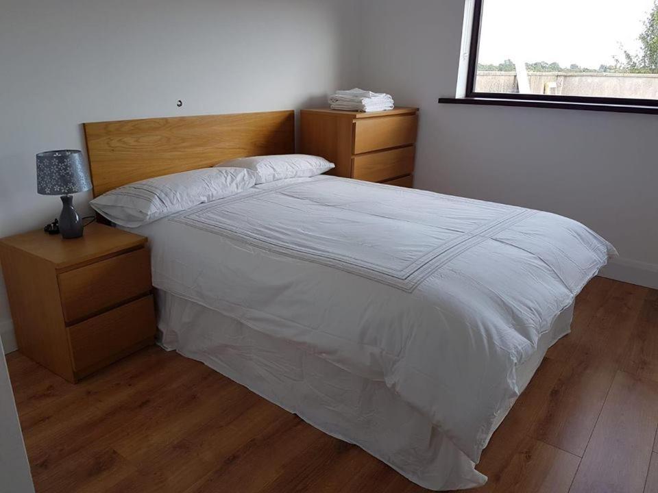 The Callows Bed & Breakfast Athlone Dış mekan fotoğraf